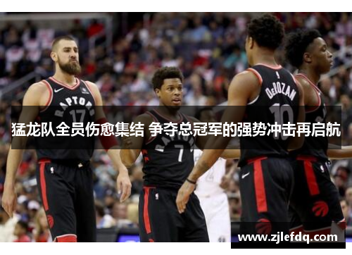 猛龙队全员伤愈集结 争夺总冠军的强势冲击再启航