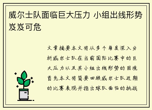 威尔士队面临巨大压力 小组出线形势岌岌可危
