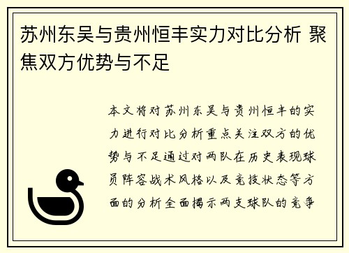 苏州东吴与贵州恒丰实力对比分析 聚焦双方优势与不足