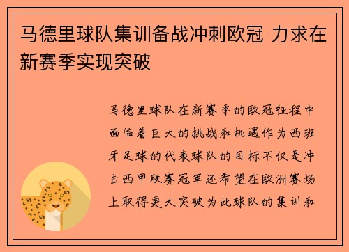 马德里球队集训备战冲刺欧冠 力求在新赛季实现突破